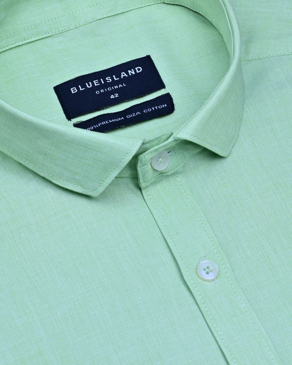 Soft Green Solid - Full-Giza Cotton