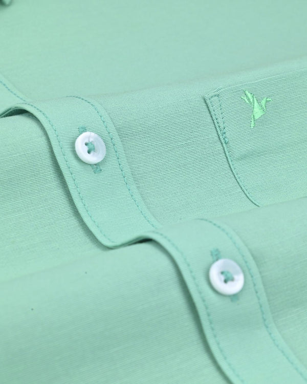 Soft Green Solid - Full-Stain Proof