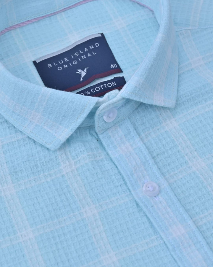 Aqua Blue & White Checks-Full-Stain Proof