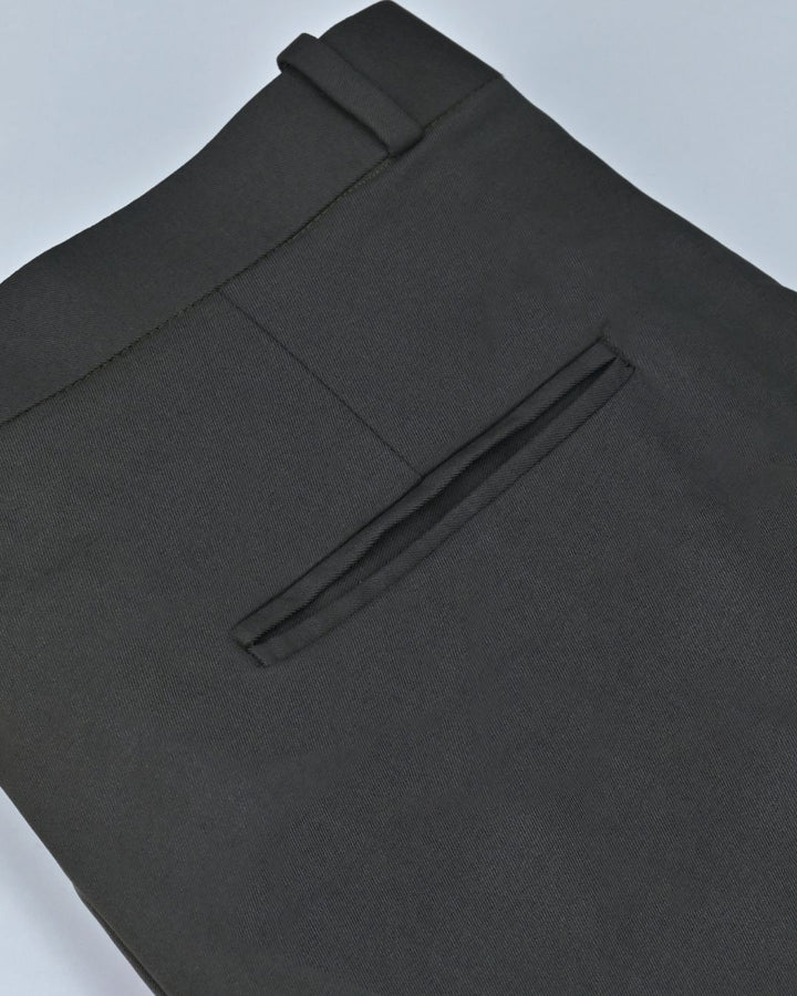 Turtle Green - Wrinkle free Formal Pant