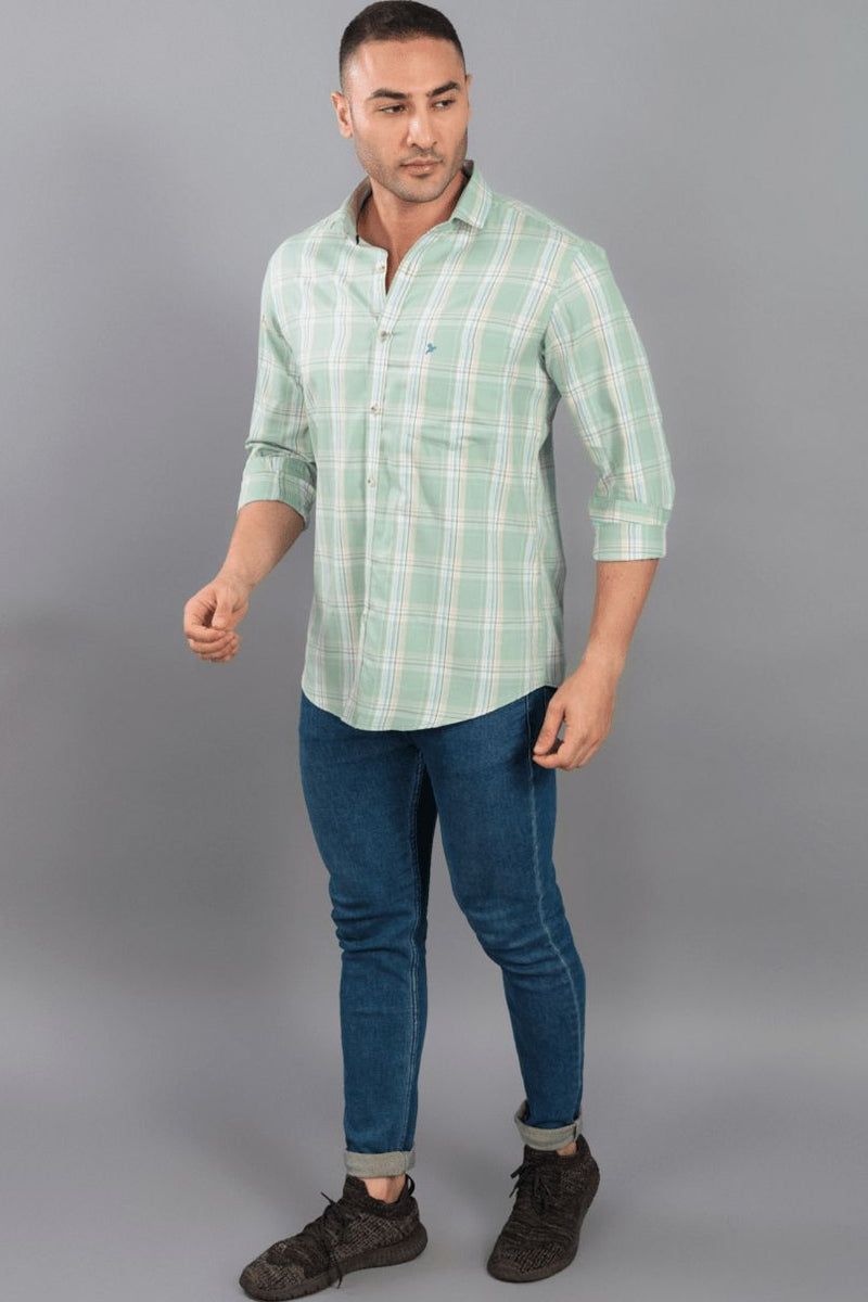 Sage Green Checks - Full-Stain Proof
