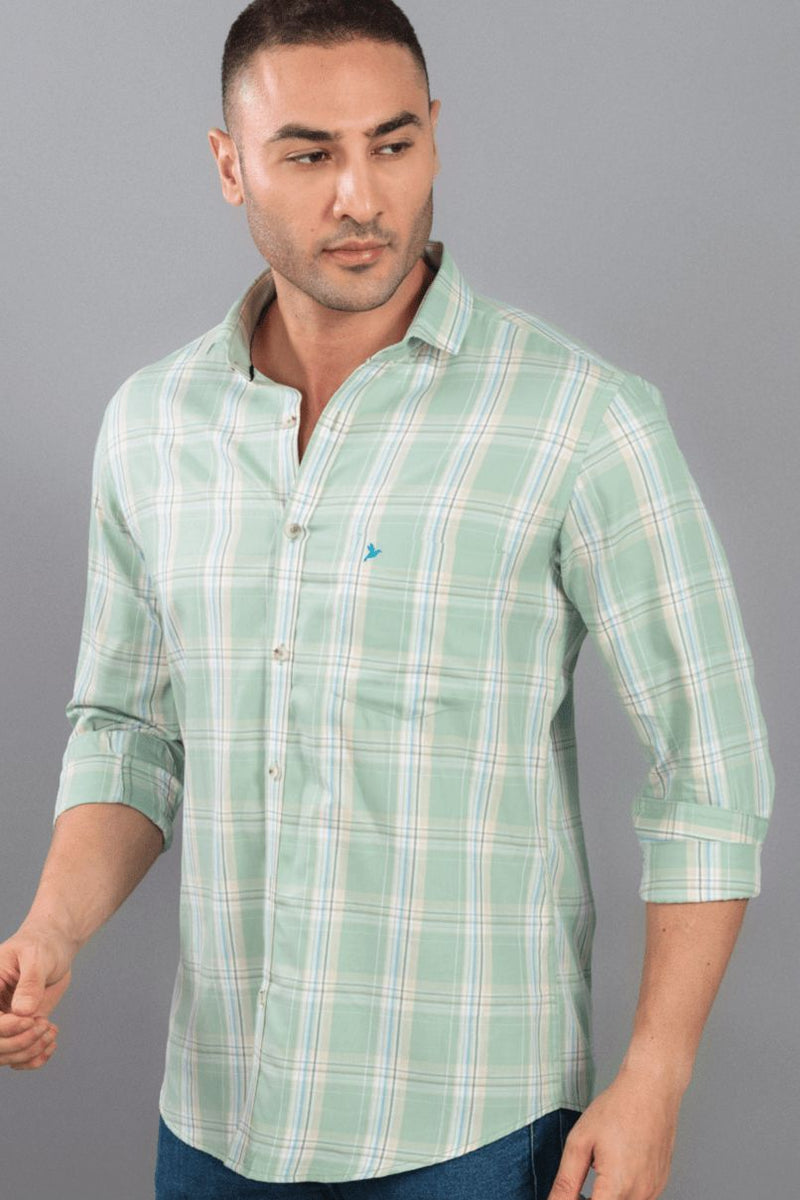 Sage Green Checks - Full-Stain Proof