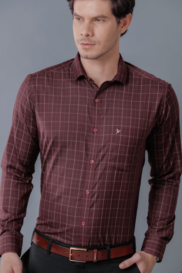 Choco Brown Formal Checks - Full-Stain Proof