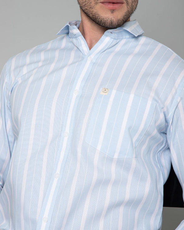 Blue & White Bold Stripes - Full-Stain Proof